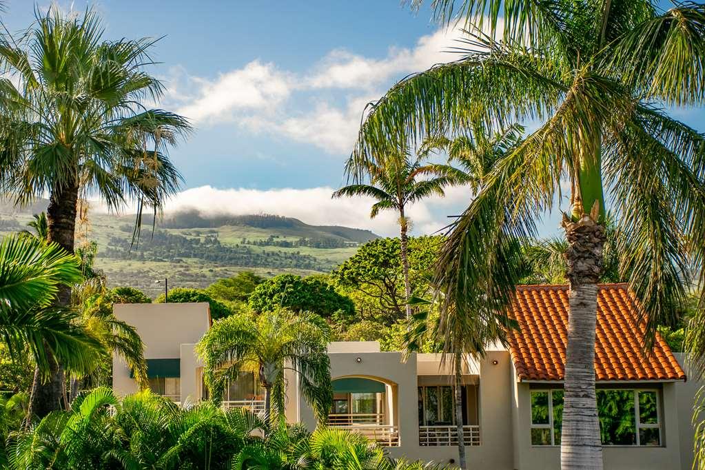 Palms At Wailea Appartamento Wailea (Maui)